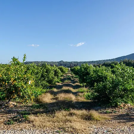 Apartamento El Limonar De Mallorca - *