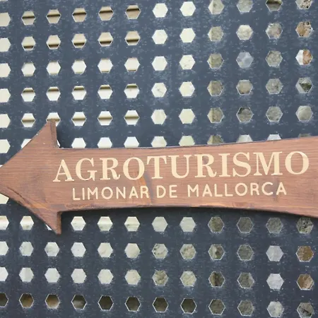 Apartamento El Limonar De Mallorca - Ballerics