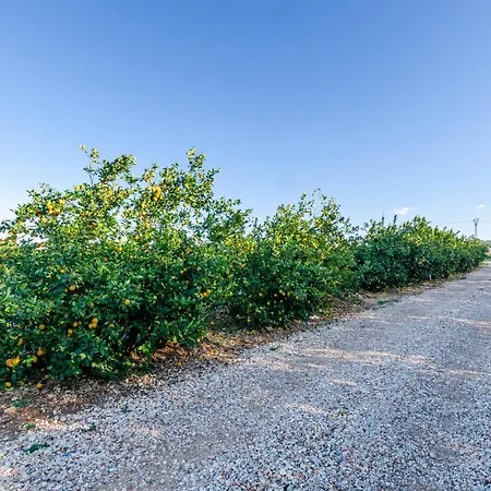 Apartamento El Limonar De Mallorca -